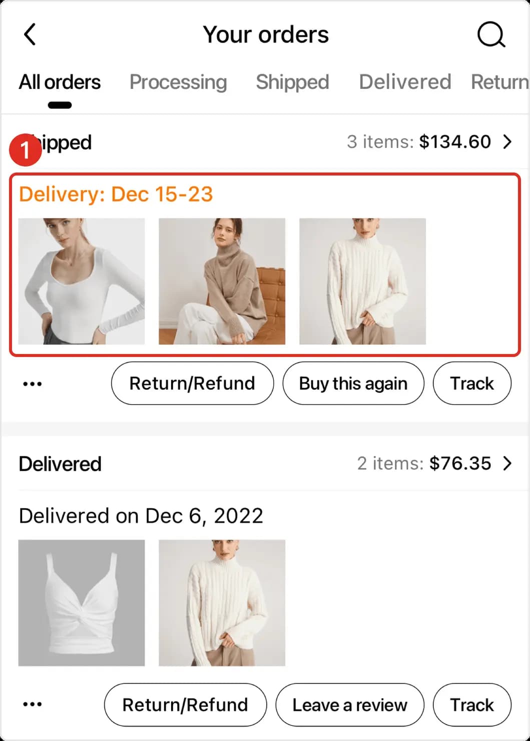 Come visualizzare la cronologia degli ordini Temu in modo dettagliato